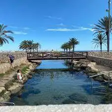 Terrenos y solares en venta en El Tancat - Mas d'en Gual, imagen 9