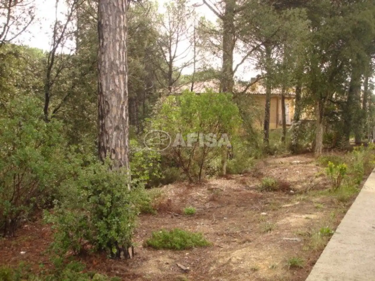 Terreno residencial en venta en La Goba, imagen 2