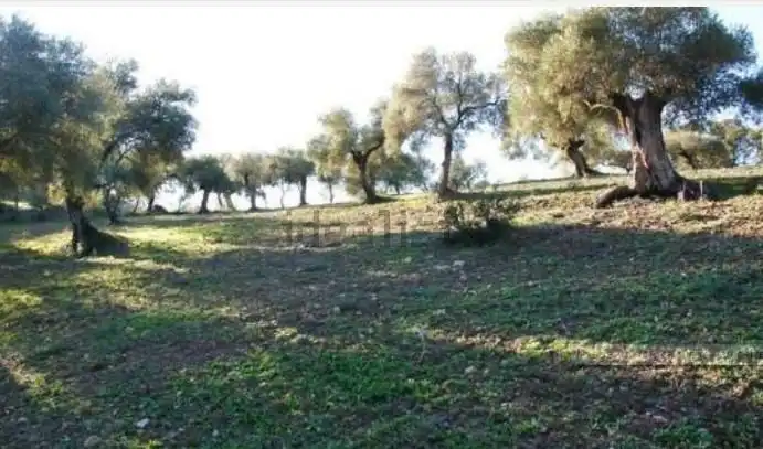 Casa rústica en venda a El Bosque, imagen 15
