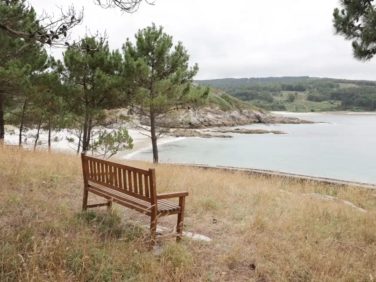 Jardí de Pis de lloguer en Ponteceso amb Parquet, Traster i Moblat
