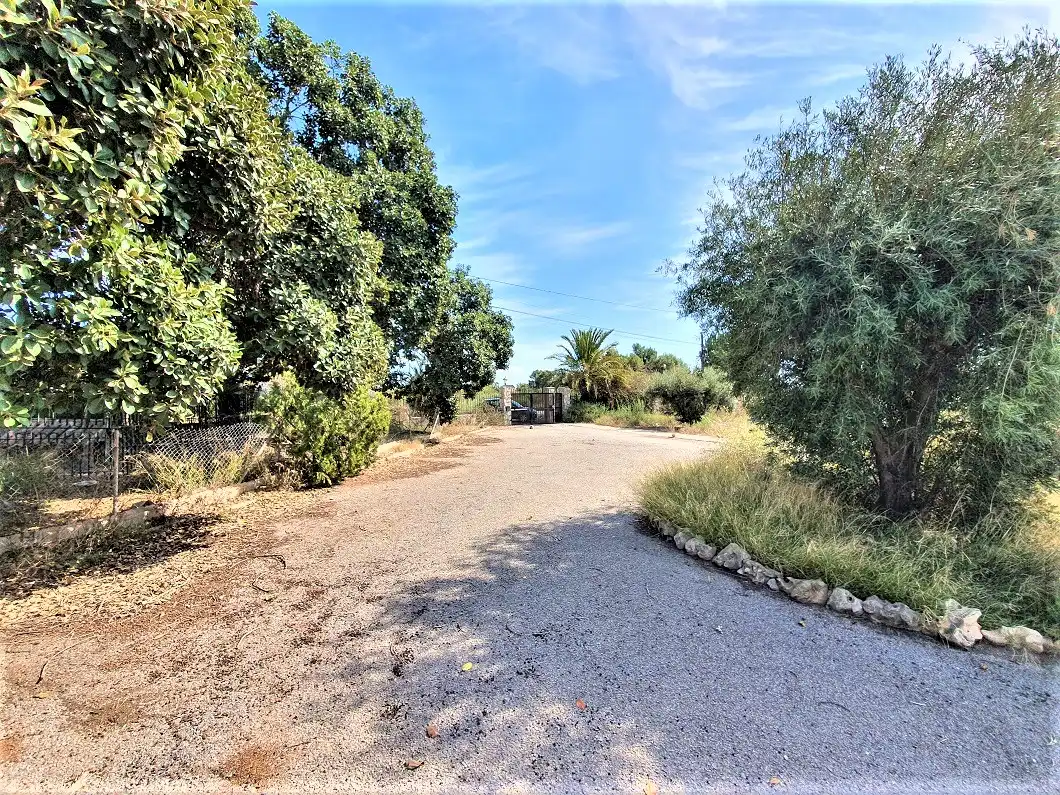 Vista exterior de Casa o xalet en venda en Elche / Elx amb Jardí privat, Terrassa i Traster