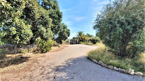 Foto 3 de Casa o xalet en venda a La Algoda - Matola - Llano de San José, Elche / Elx