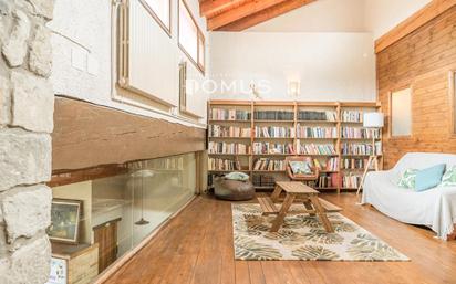 Living room of House or chalet for sale in La Vall d'en Bas  with Heating, Private garden and Terrace