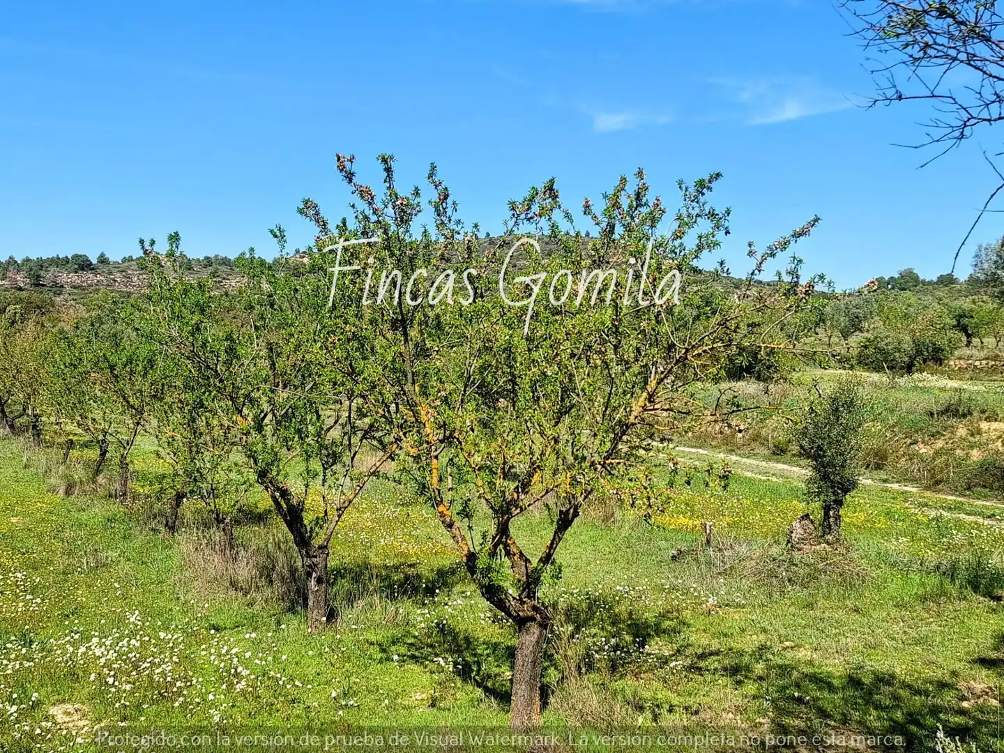 Terreno rustico in vendita a 8, imagen 26