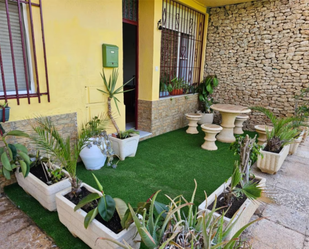 Garden of Planta baja for sale in El Ejido  with Terrace