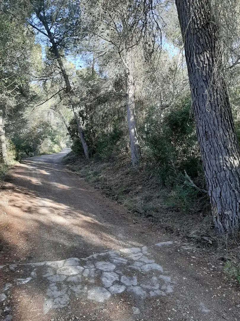 Terrain rustique à vendre à Sant Joan, imagen 21