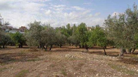 Venta de terreno en Gojar., immagine 2