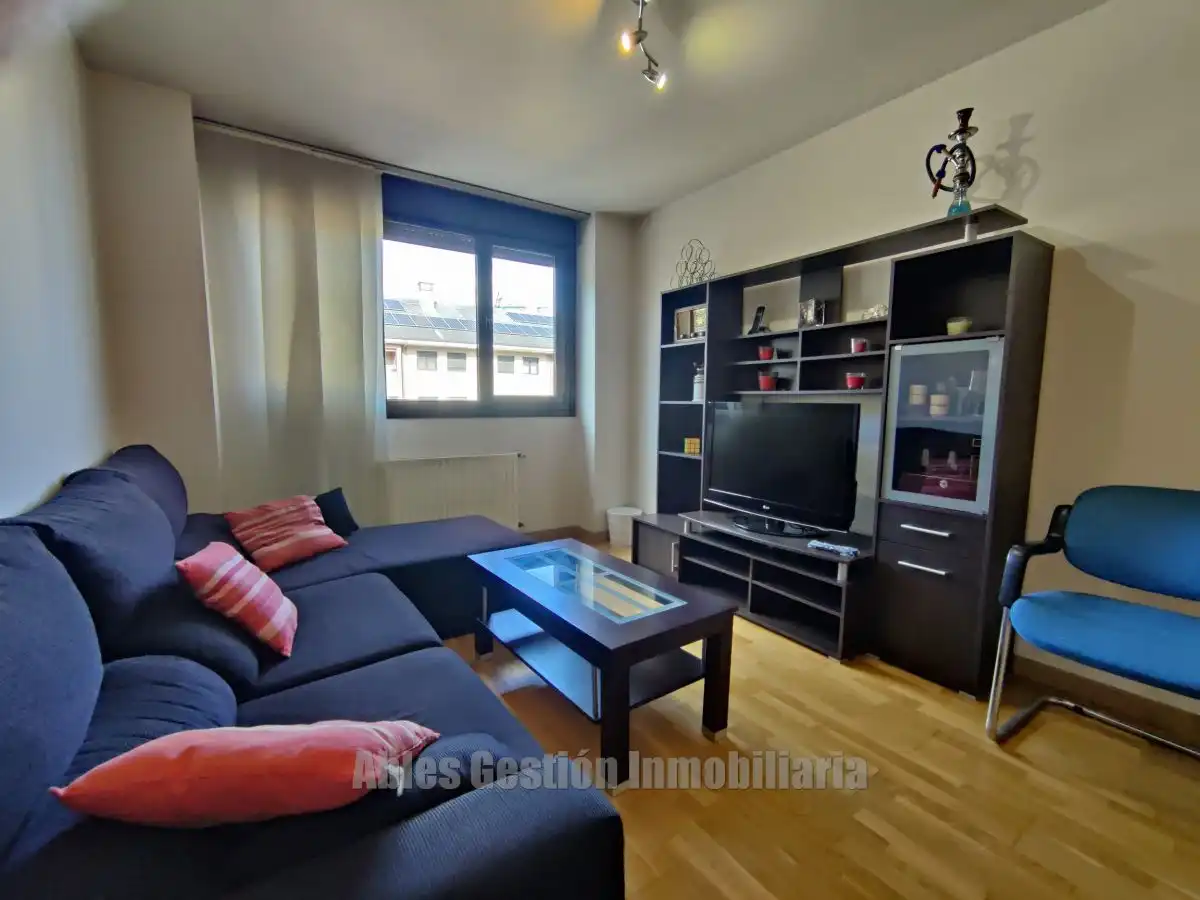 Sala de estar de Piso de alquiler en Oviedo  con Calefacción y Terraza