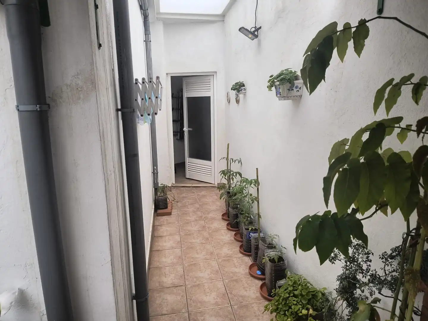 Casa o xalet en venda en Buenavista del Norte amb Jardí privat, Terrassa i Forn