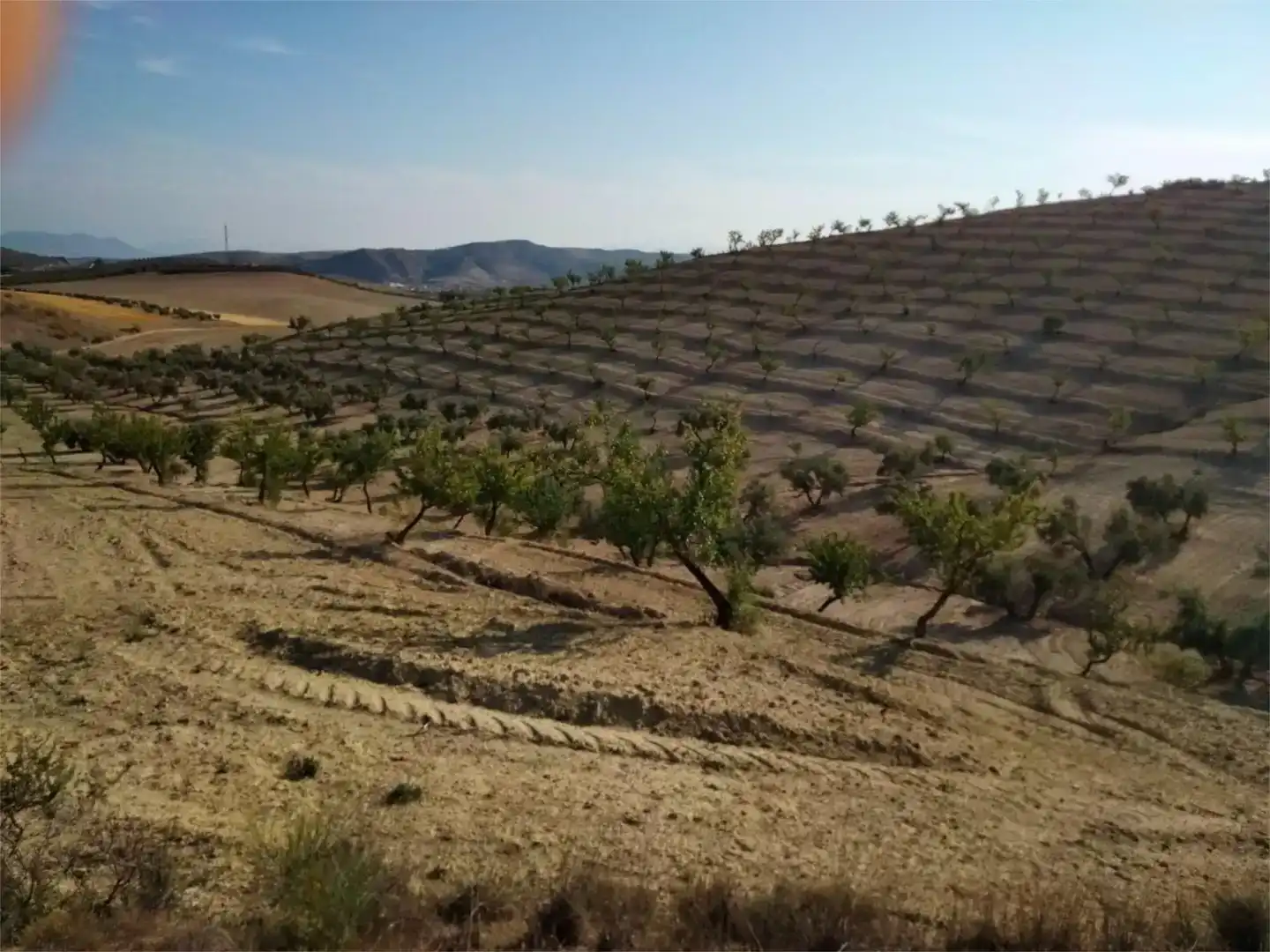 Finca rústica en venda en Escúzar