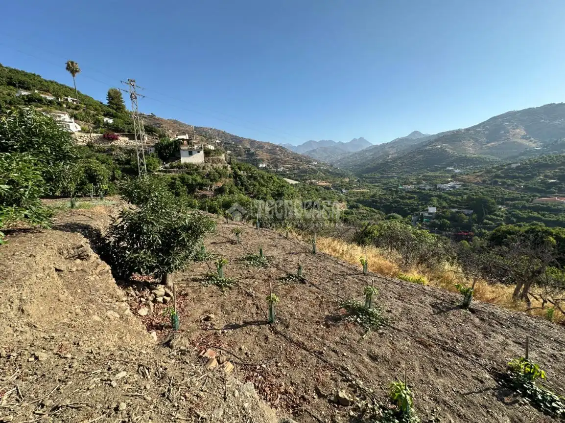 Terreni e lotti in vendita a Torrox Pueblo, imagen 11