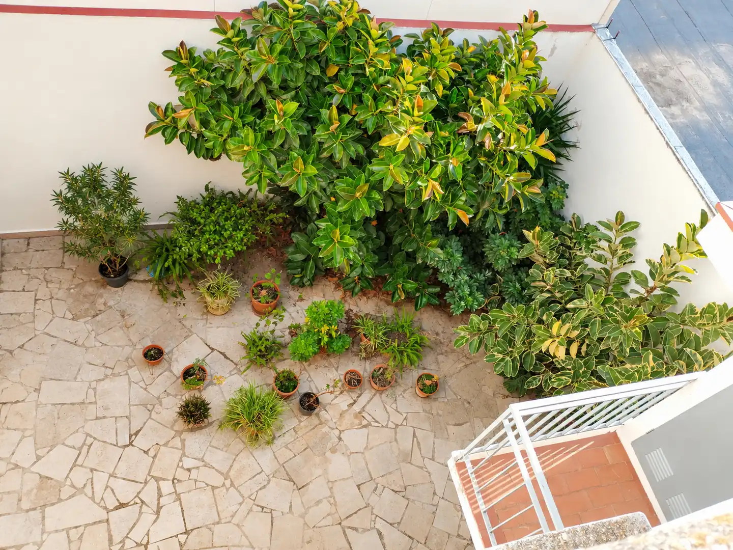 Terraza de Casa o chalet en venta en L'Ampolla, Tarragona