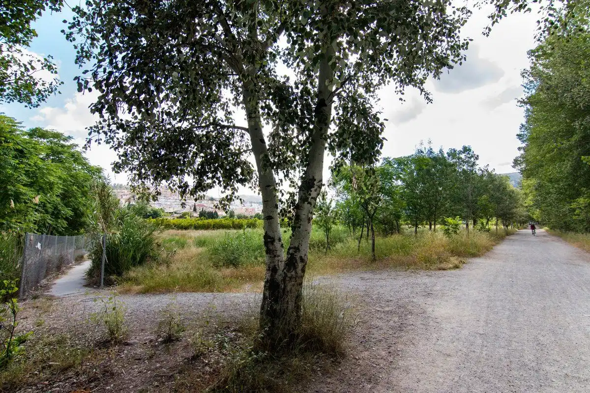 Casa rústica en venta en Genil, imagen 24