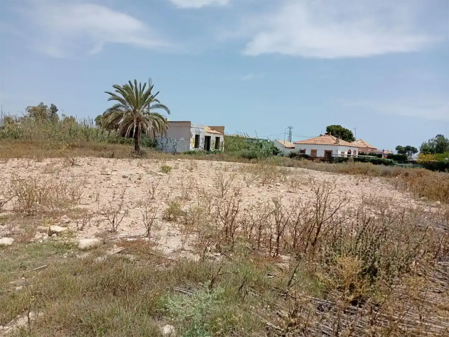 Grundstücke zum Verkauf in Elche / Elx
