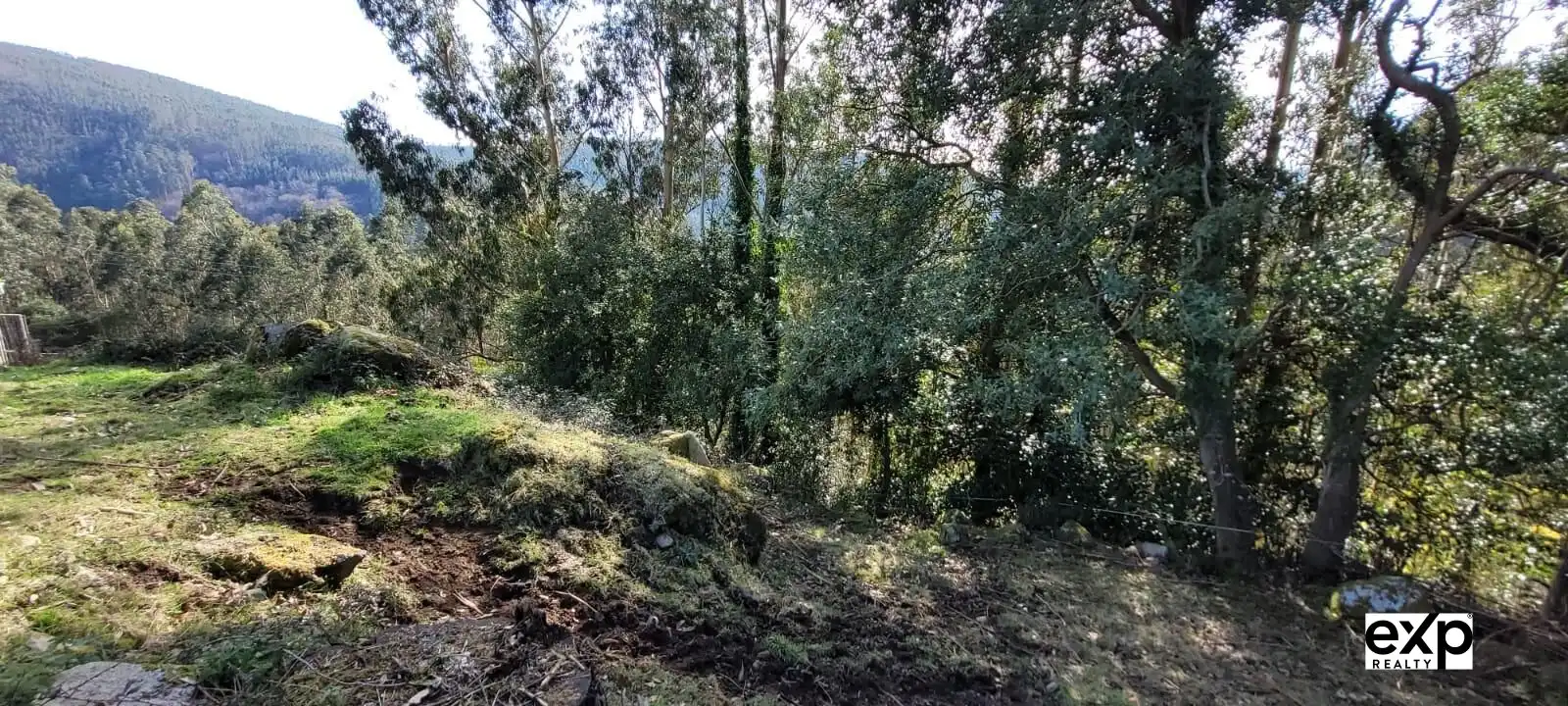 Detached homes for sale in O Valadouro    with Furnished