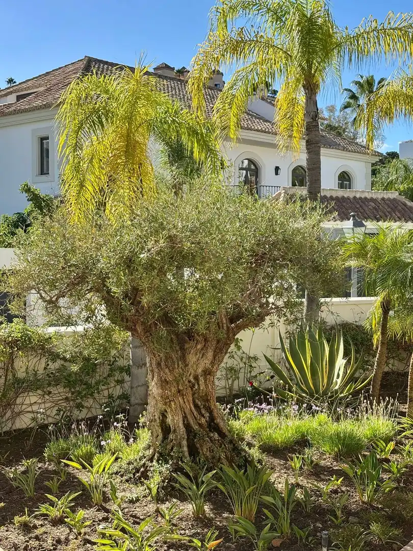 Garten von Haus oder Chalet zur Miete in Benahavís mit Klimaanlage, Heizung und Privatgarten