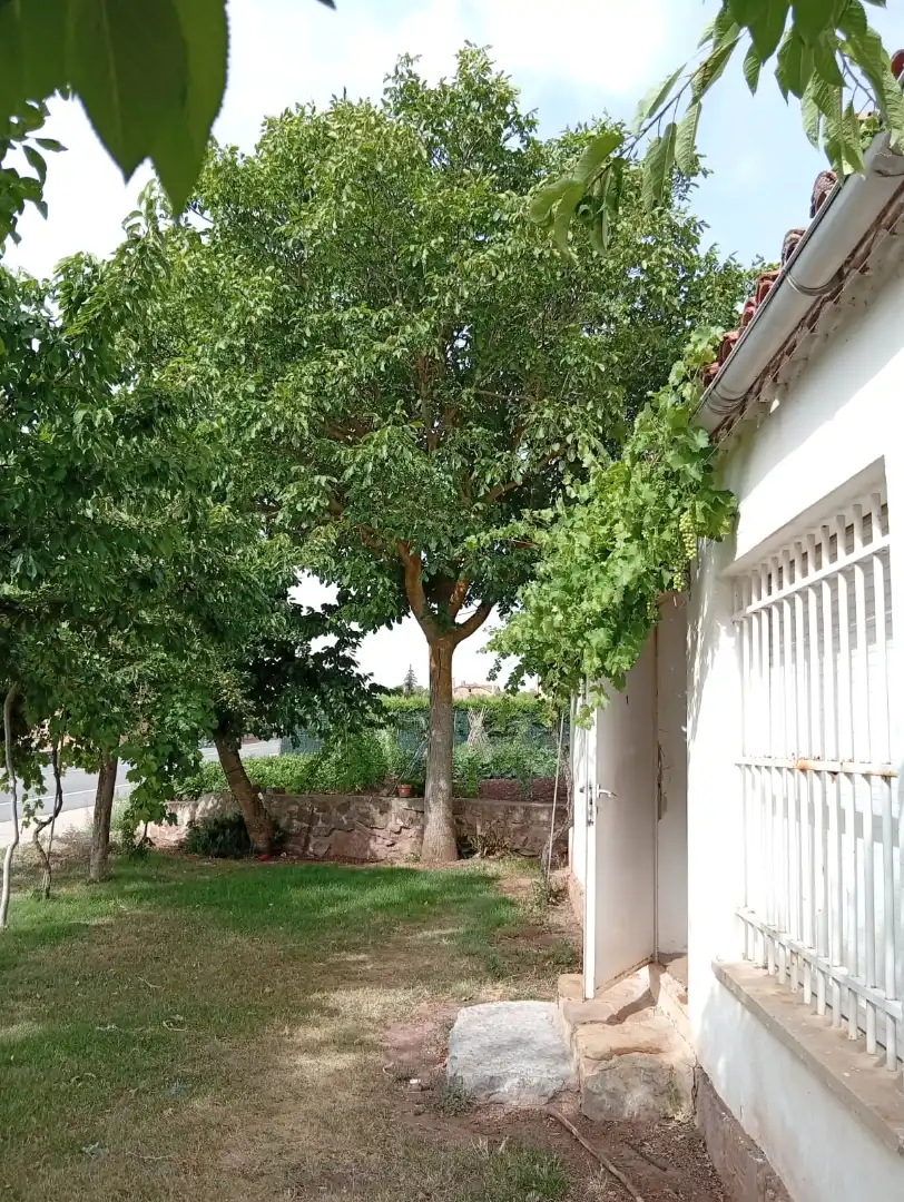 Jardín de Casa o chalet en venta en Aldealpozo con Jardín privado, Amueblado y Horno