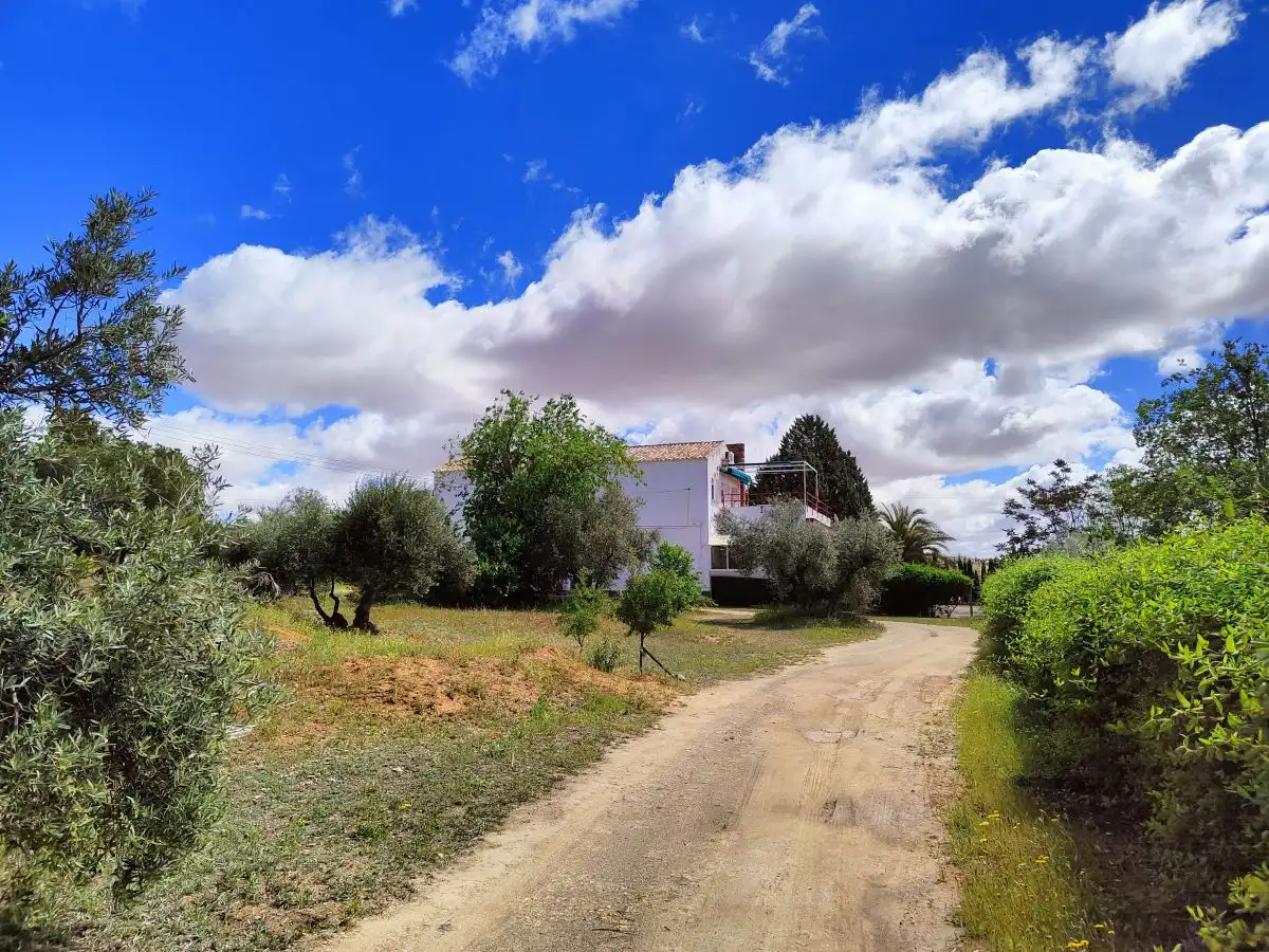 Casa rústica en venda a Valdepeñas, imagen 32