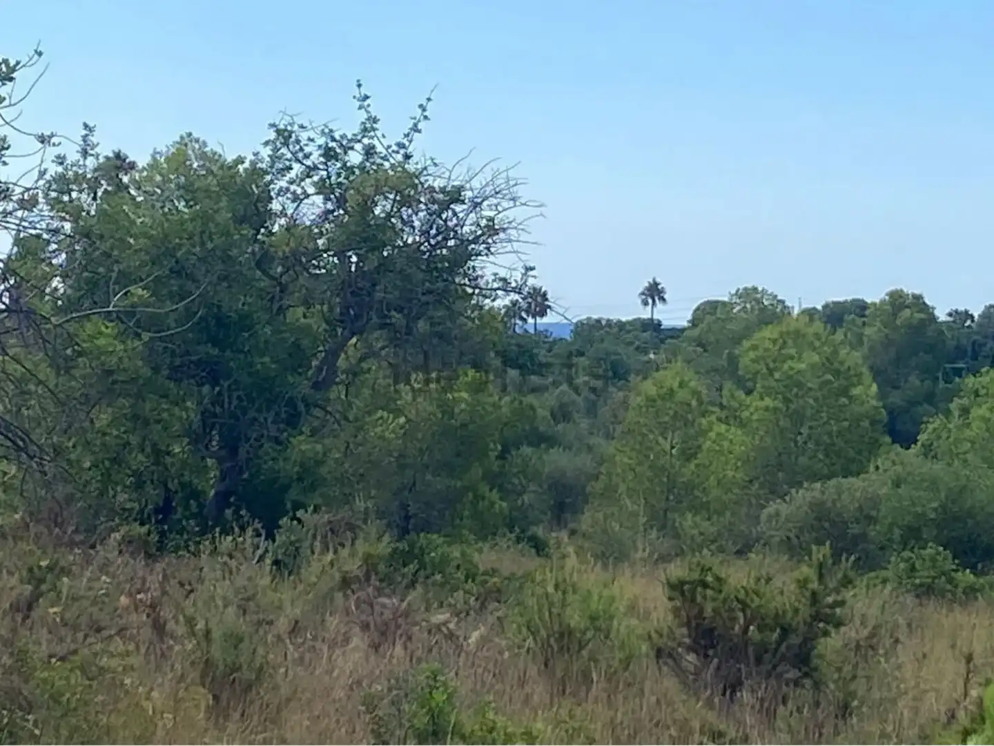 Rural land for sale in Extrarradio Diseminado 1, imagen 14