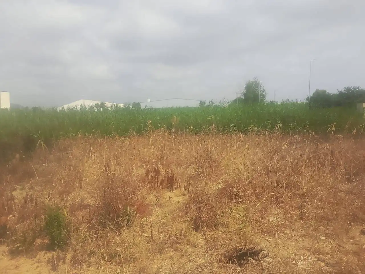 Industrial land for sale in Calle Estacio, imagen 3