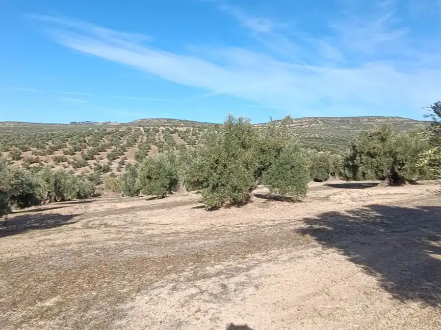 Land for sale in Baeza