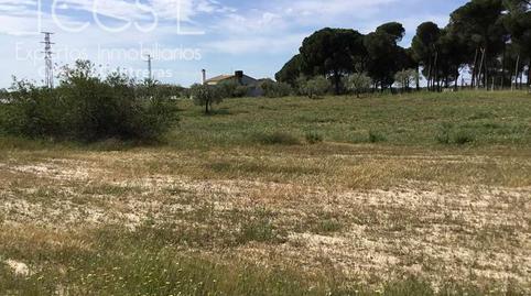 Foto 4 de Finca rústica en venda a Almonte ciudad, Almonte