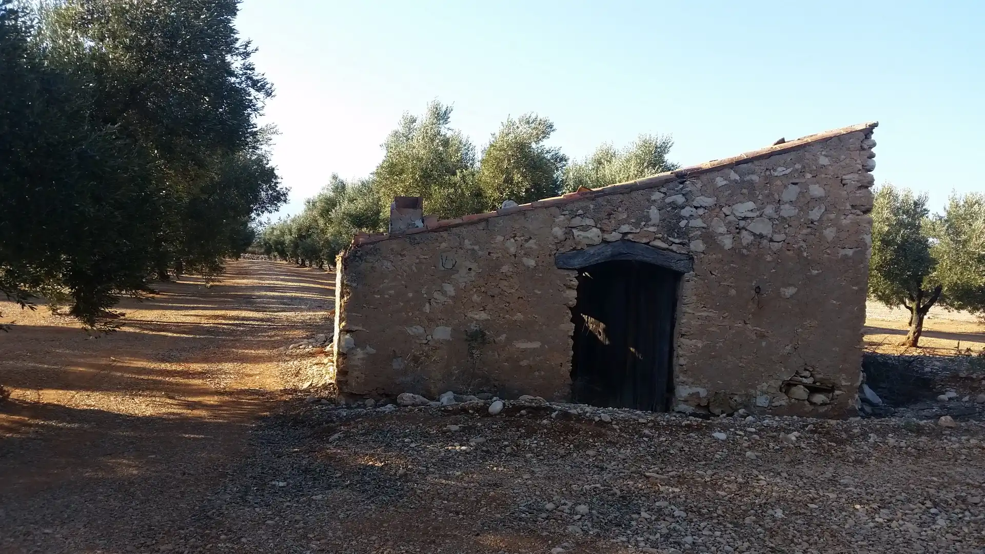 Terreno en venta en Ulldecona