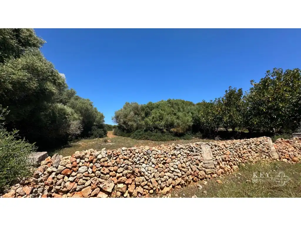 Casa rústica con jardín en venta en Cala d'en Bosch - Serpentona, imagen 27