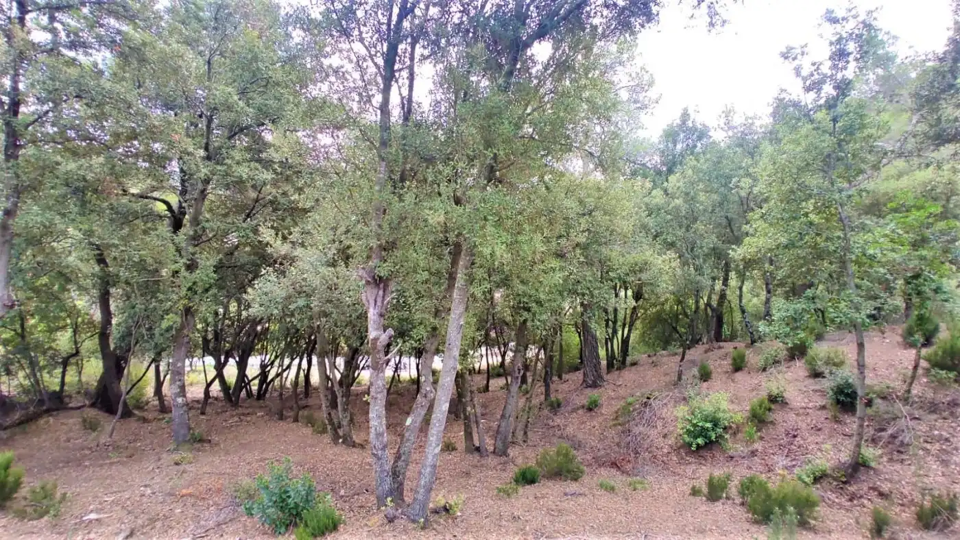Terrain résidentiel à vendre à Matadepera