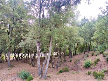 Terrain résidentiel à vendre à Matadepera