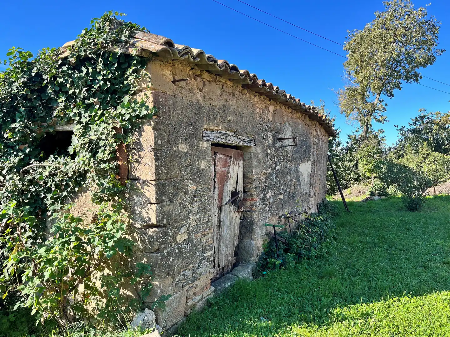 Vista exterior de Finca rústica en venta en Alquézar con Jardín privado