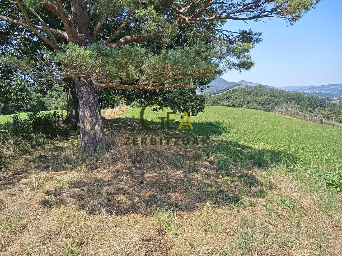 Land for sale in Asteasu