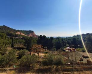 Jardí de Casa o xalet en venda en L'Aleixar amb Calefacció, Terrassa i Traster