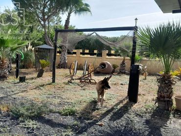 Casa rústica con jardín en venta en Almonte ciudad