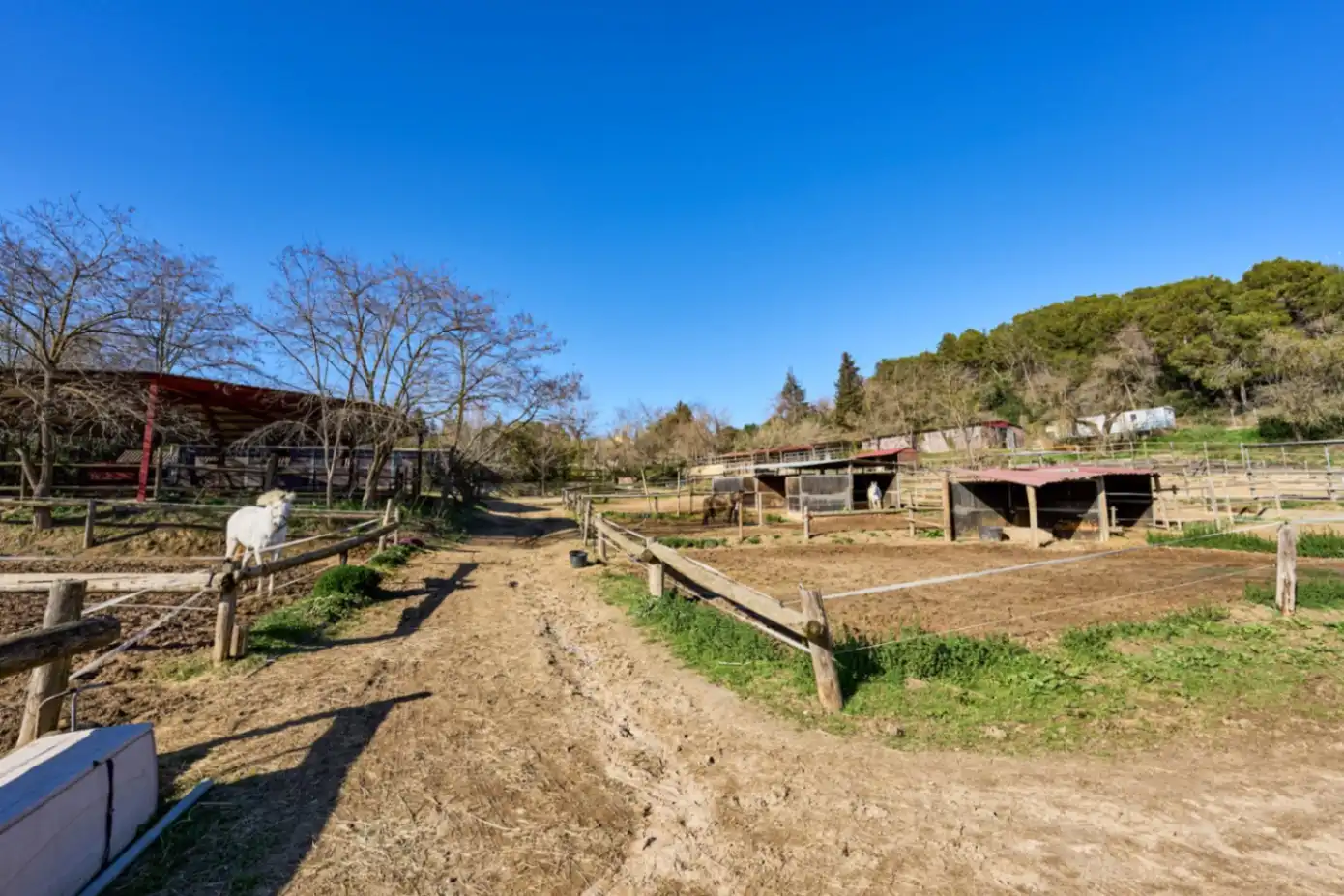 Vista exterior de Finca rústica en venta en Granollers