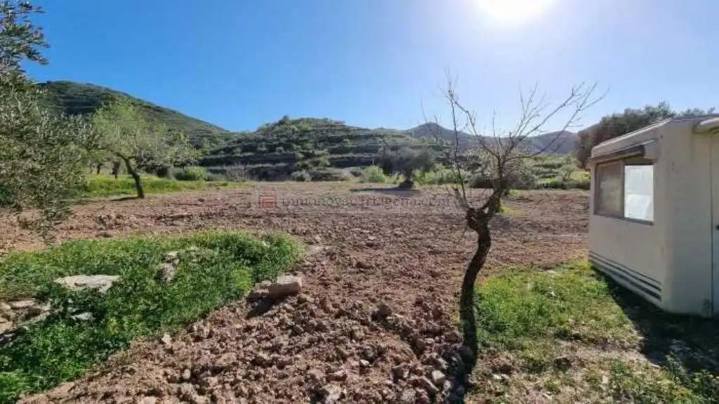 Terreni e lotti in vendita a Pedanías Oeste, imagen 5