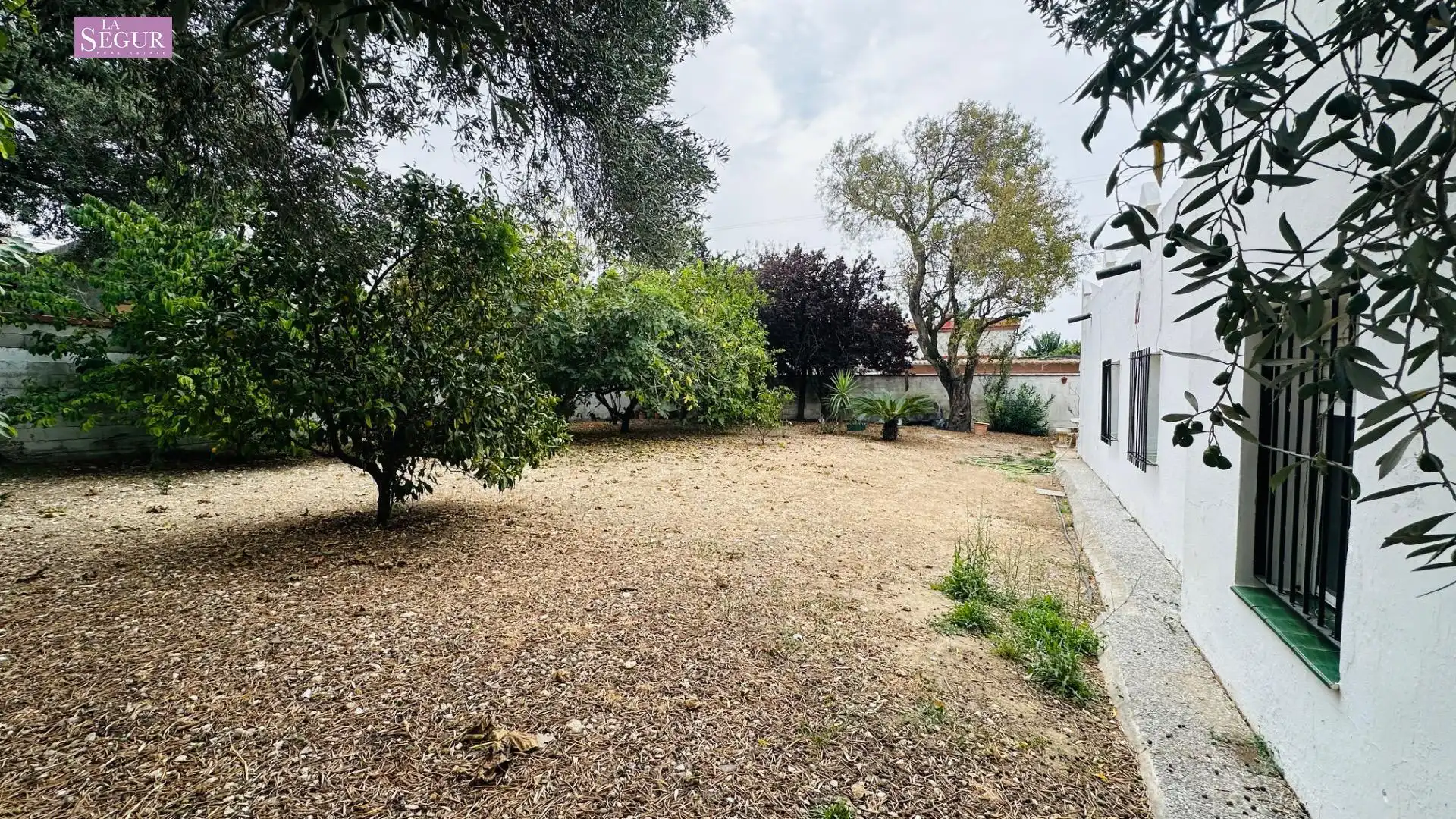 Detached house with garden for sale in Carretera de Barrio Nuevo, imagen 6