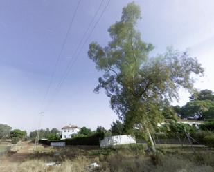 Casa o xalet en venda en Mairena del Alcor amb Jardí privat, Terrassa i Traster