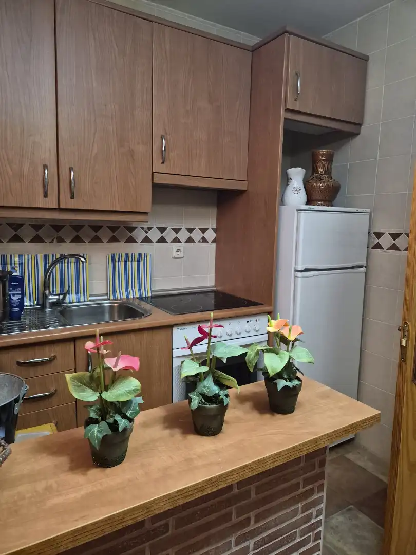 Cocina de Casa o chalet en venta en Albares con Calefacción, Jardín privado y Piscina