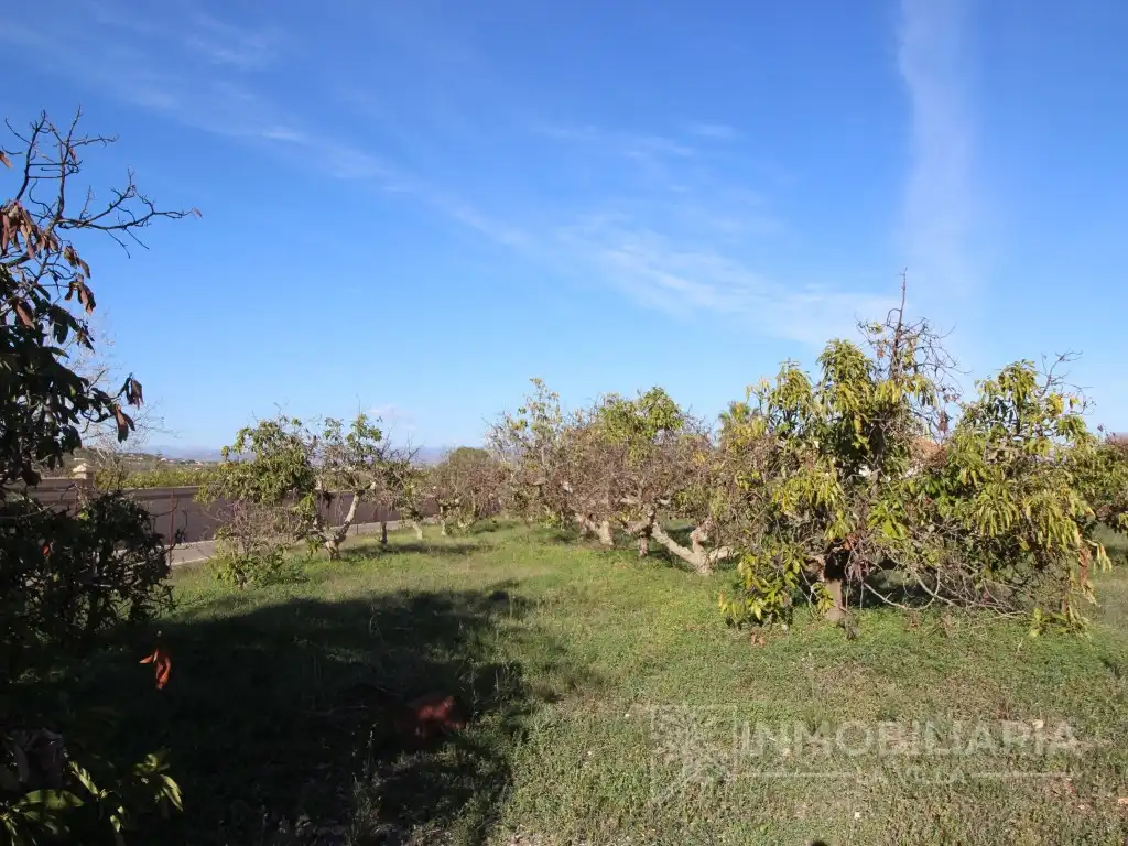 Finca rústica en venda en Alhaurín de la Torre amb Terrassa
