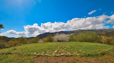 Photo 5 of Country house for sale in San Cristóbal, Málaga