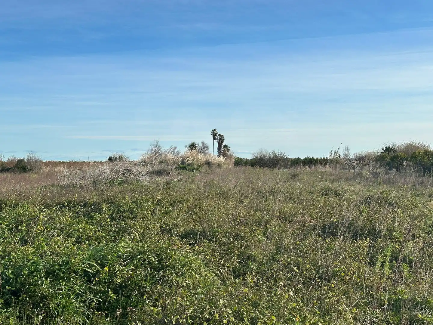 Lands and plots for sale in Pego, imagen 16