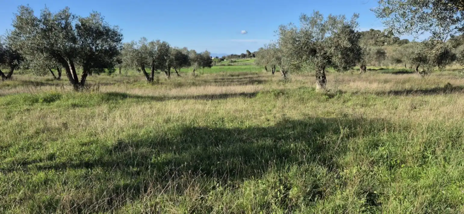 Residencial en venta en Ullastret