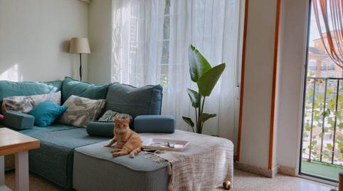 Photo 4 of Flat for sale in Maestro Carrascosa - Banda de Música, Alicante