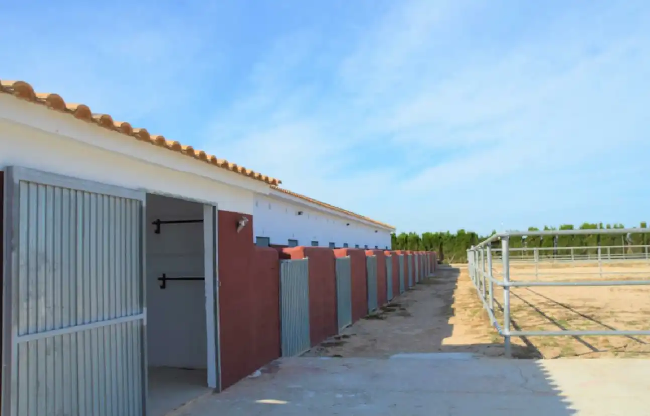Maison rustique à vendre à San Miguel de Salinas