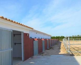 Exterior view of Country house for sale in San Miguel de Salinas