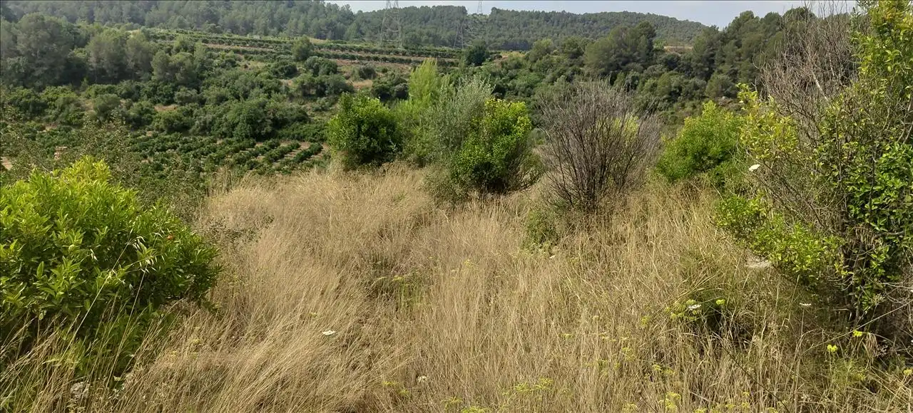 Residencial en venta en Estubeny