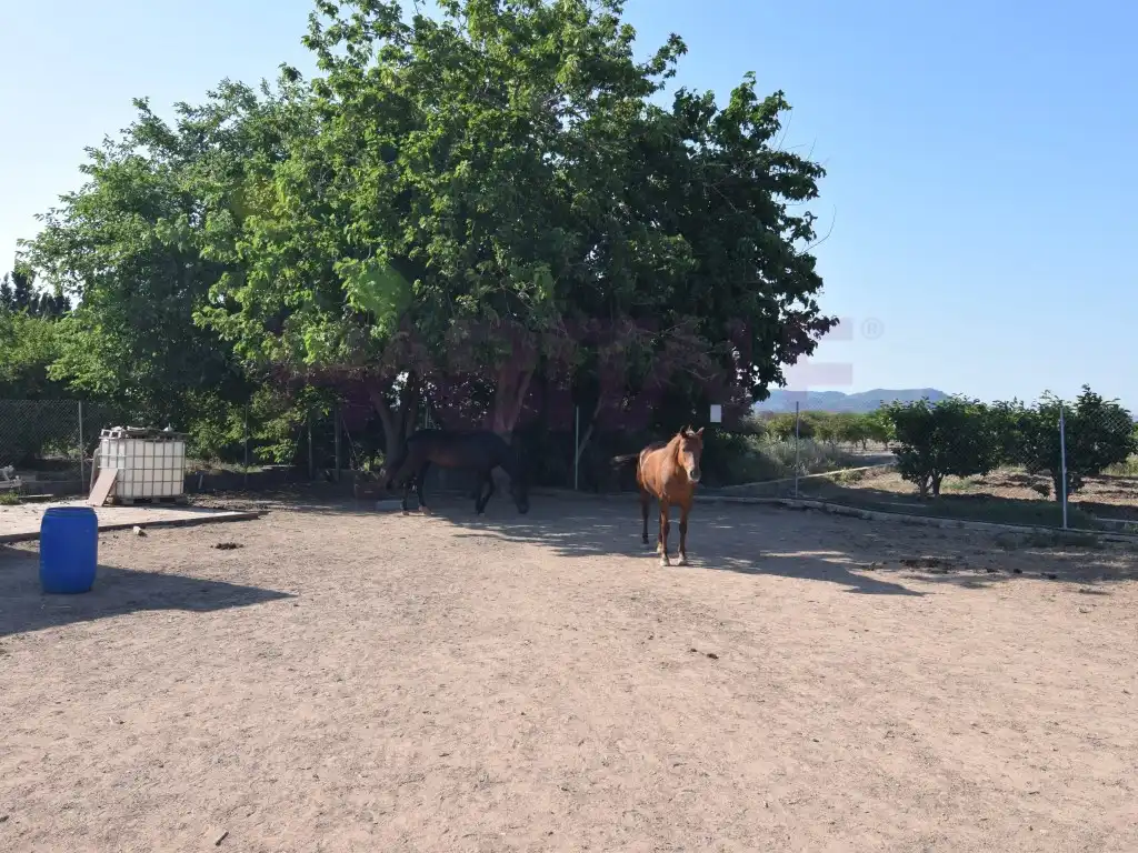 Terreno rustico in vendita a Poligono Poligono Numero 7