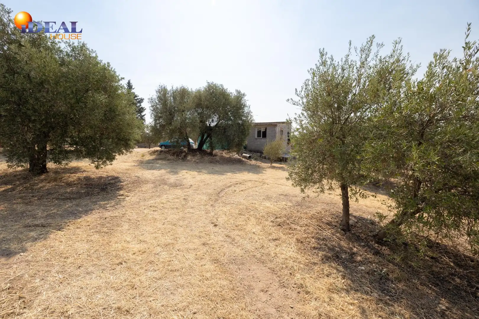 Finca rústica en venta en Moraleda de Zafayona