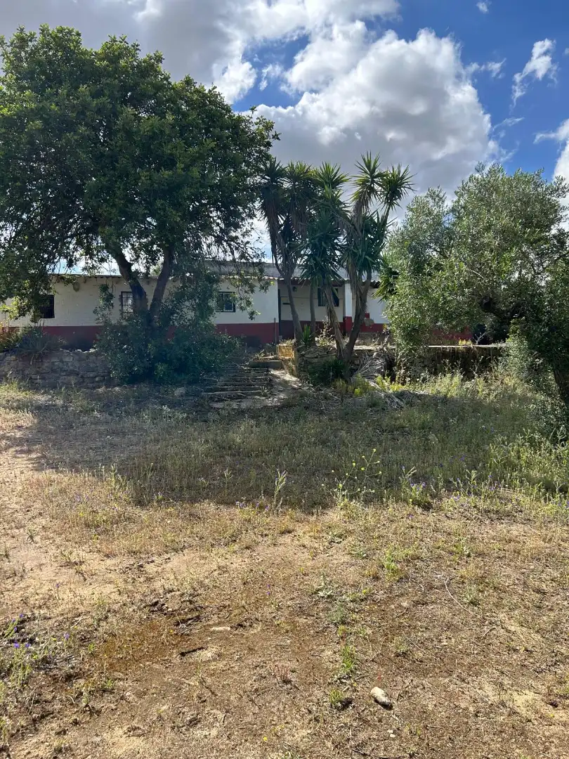 Terrain rustique à vendre à Arcos de la Frontera, imagen 11